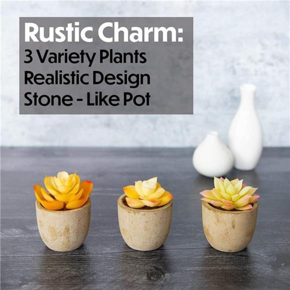 3 Piece Yellow Decor Artificial Succulent Plants in Grey Pots Realistic Greenery - Picture 5 of 6